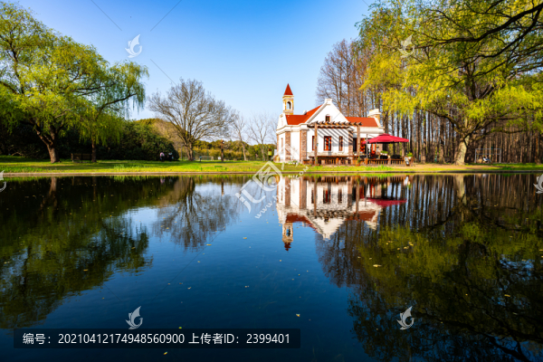 上海共青國家森林公園景色景觀