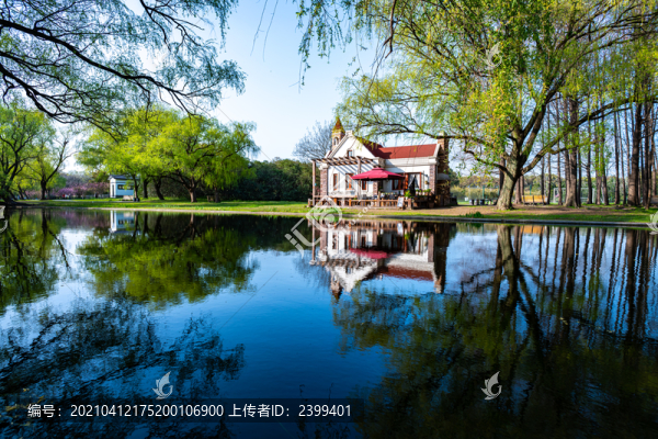 上海共青國家森林公園景觀