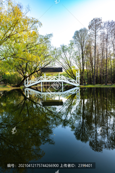 上海共青國家森林公園景色景觀