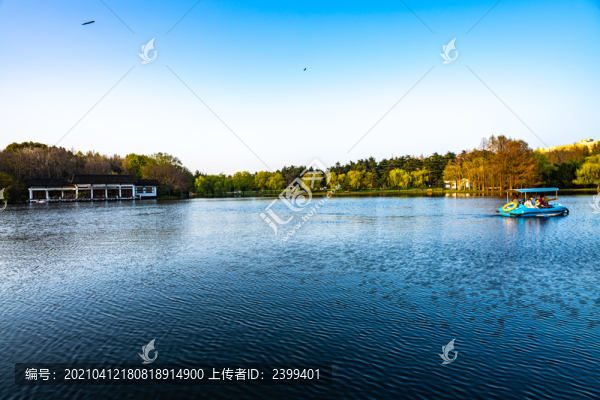 上海共青國家森林公園景色景觀