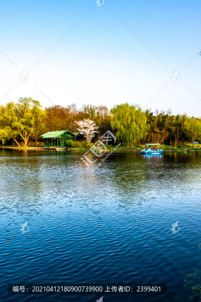上海共青森林公園春天