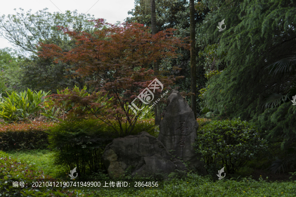重慶師范大學