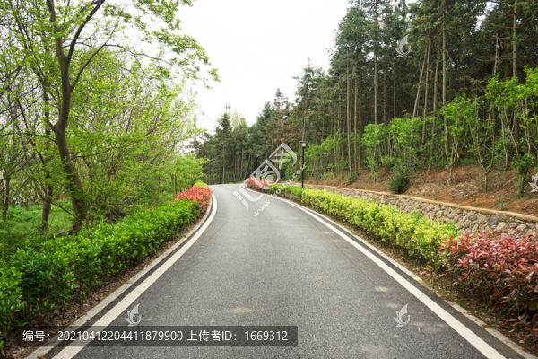 景區(qū)道路