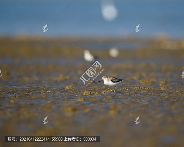 沙灘