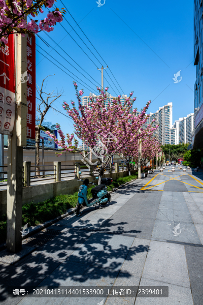 上海普陀江寧路街景