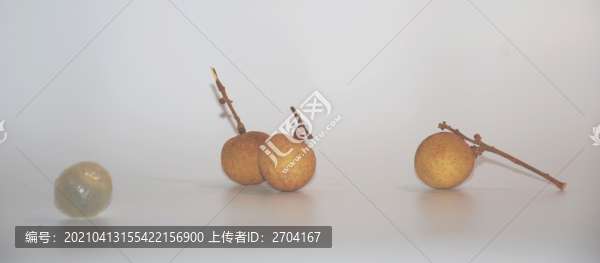 新鮮桂圓高清圖片