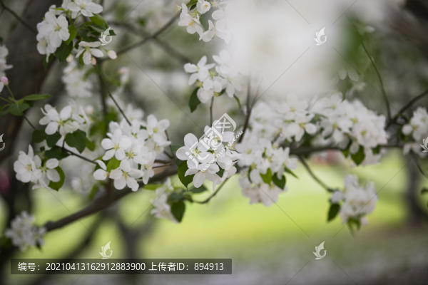 繁華似錦