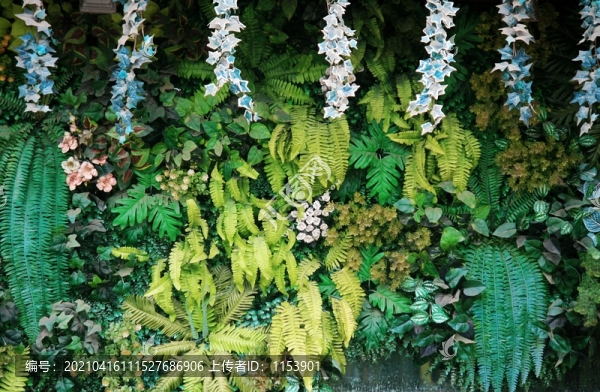 綠植墻