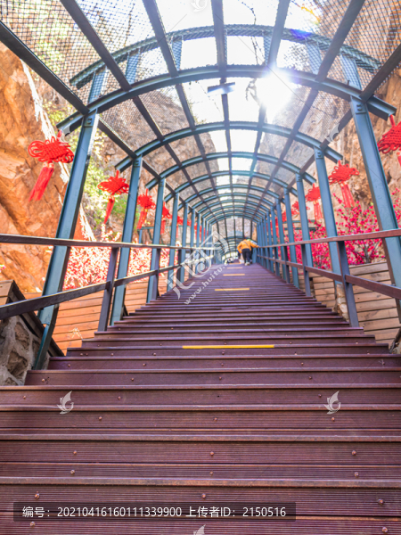 登山觀景階梯