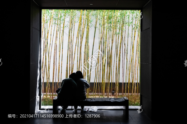 竹林框景