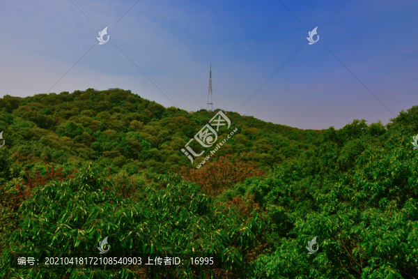 鎮(zhèn)江南山風(fēng)景區(qū)