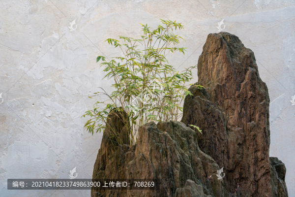 蘇州耦園園林建筑景觀