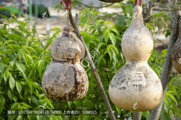 福祿葫蘆