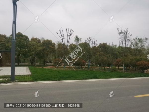 家門口的公園