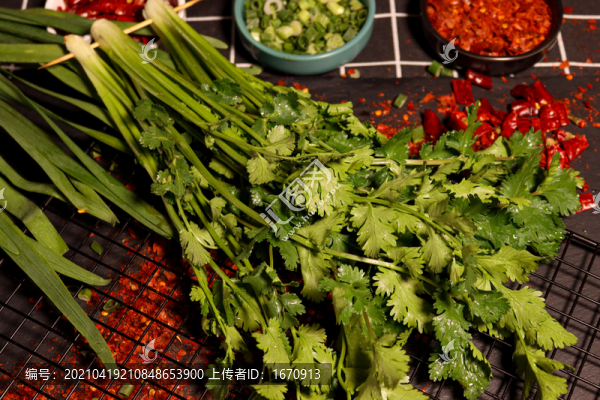 香菜串串