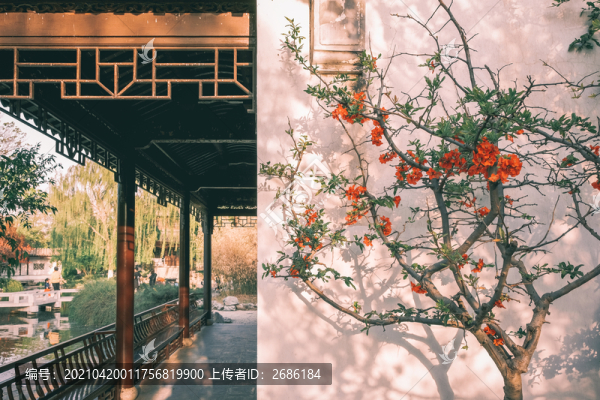 北京園博園