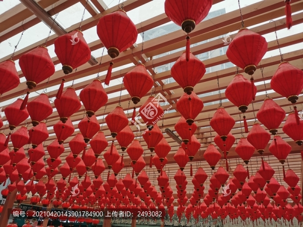 紅燈籠
