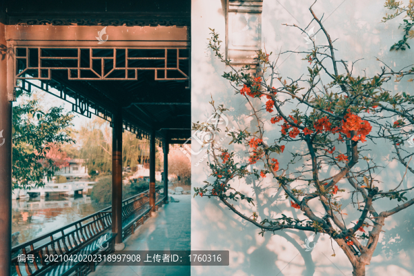 北京園博園