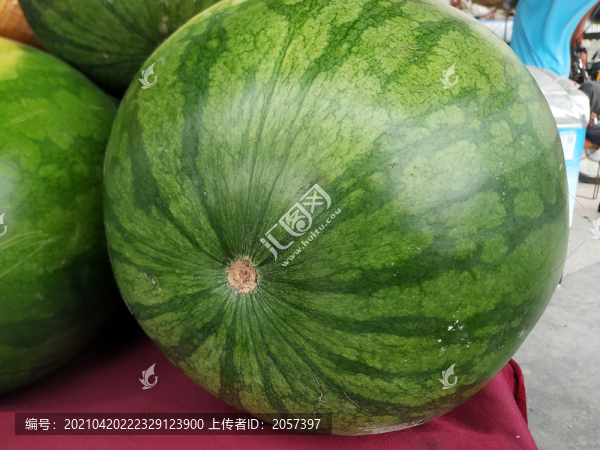 大西瓜