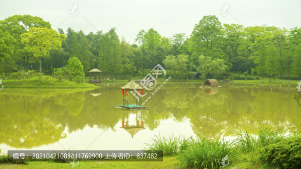 綠油油湖光山色