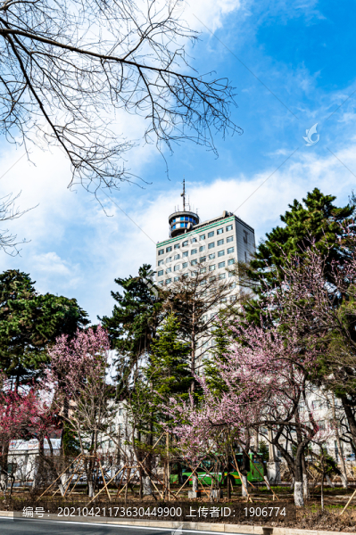 春暖花開的中國長春城區(qū)景觀