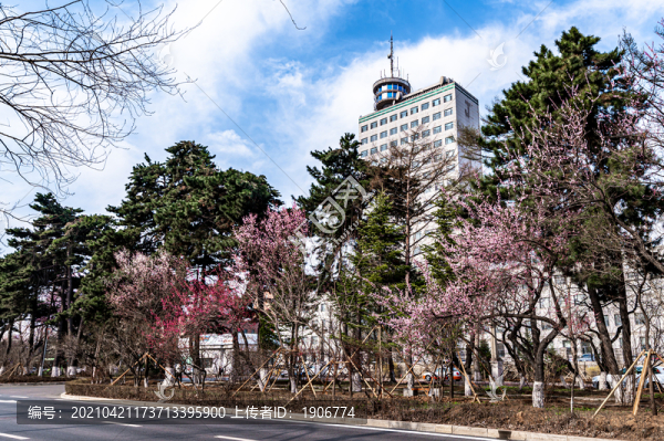春暖花開的中國長春城區(qū)景觀