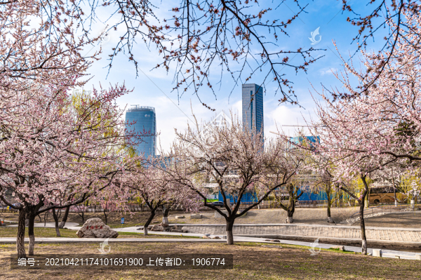 春暖花開的中國長春城區(qū)景觀