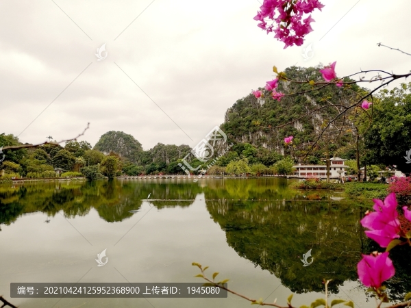 肇慶星湖美景
