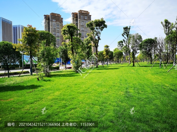 城市綠地