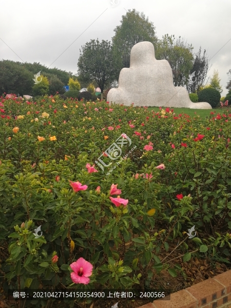 植物扶?；? title=