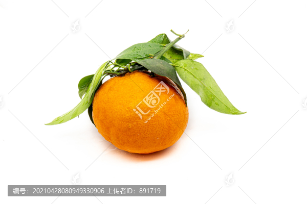 桔子