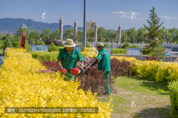 園林綠化