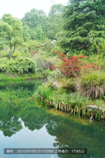 貴陽小車河濕地公園