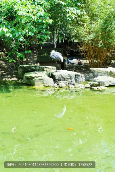 貴陽黔靈山公園