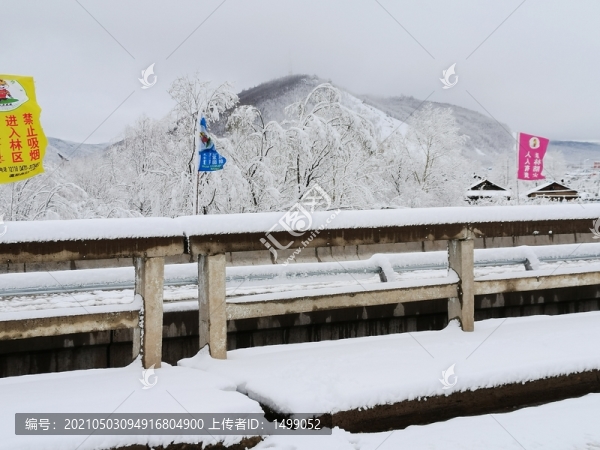 春天的雪掛