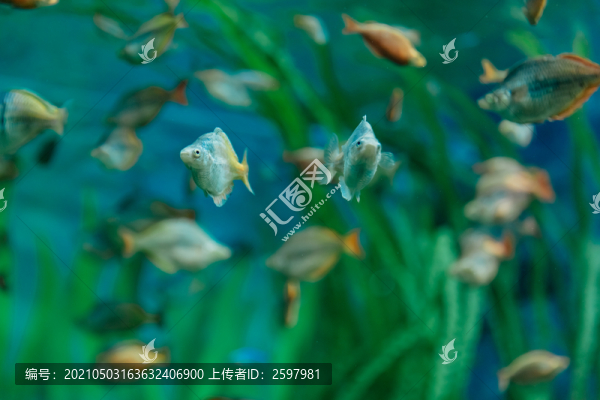 海底世界