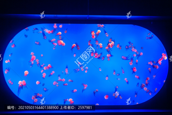 水族館