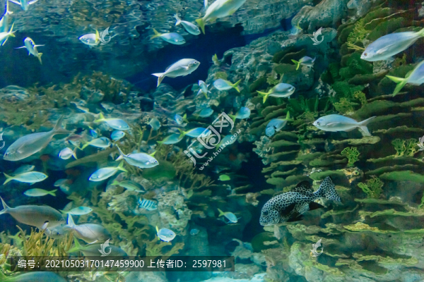 水族館
