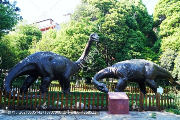 曲靖龍?zhí)豆珗@