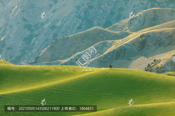 那拉提草原