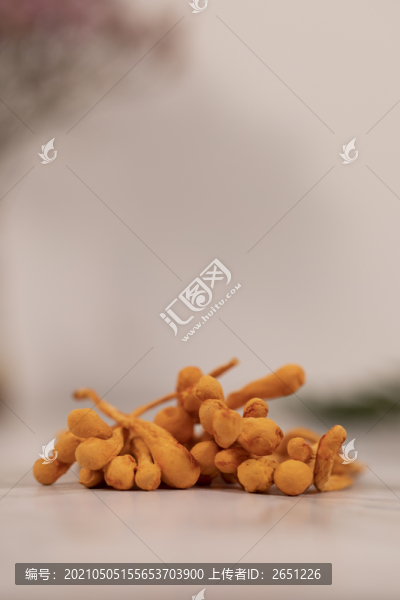 蟲(chóng)草花