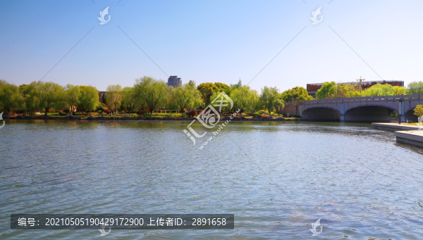 水生態(tài)