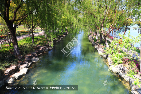 水生態(tài)