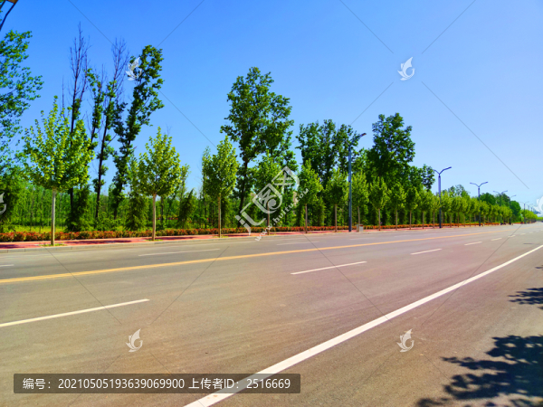 公路綠化