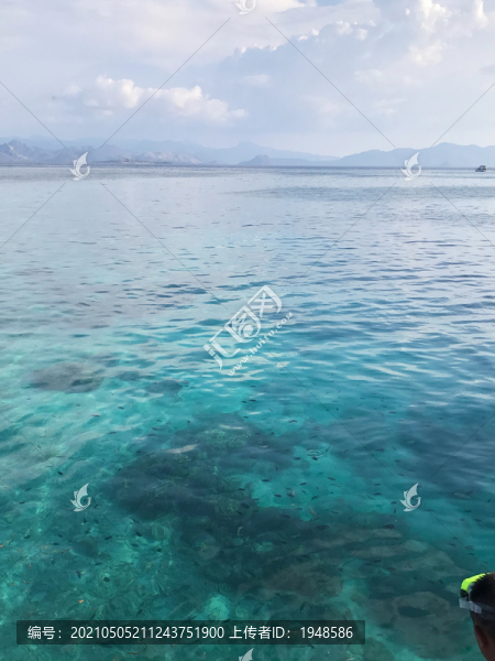 科莫多的海