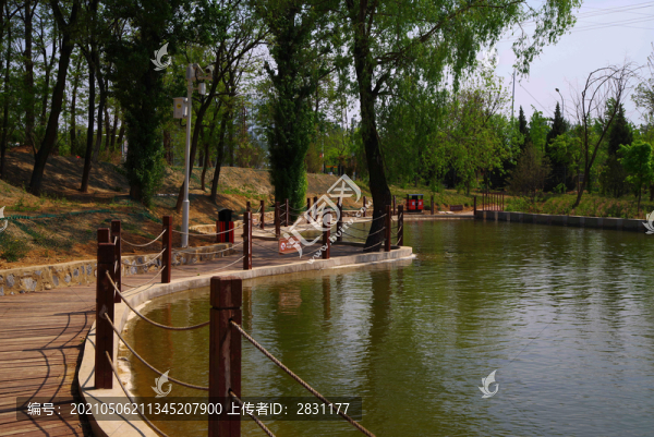 豐臺(tái)王佐怪村西廬公園油菜花海