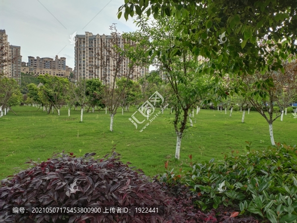 公園綠化