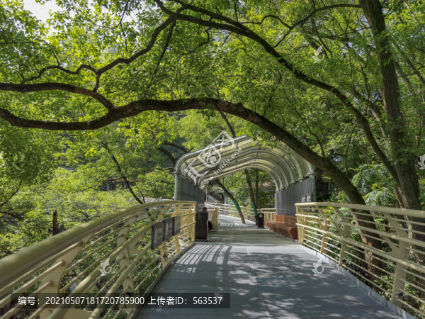 延平九峰山公園