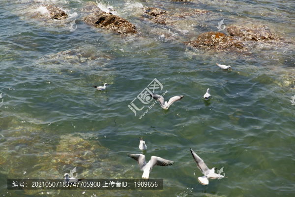 青島海上風光