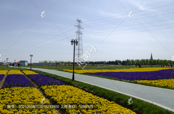 公園花海游人